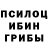 Галлюциногенные грибы мицелий Eva Yumina