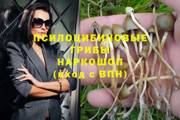 ешки Алексеевка